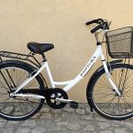 Bicicleta de Senhora Pantera branca