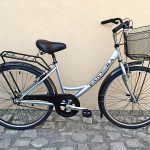 Bicicleta de Senhora Pantera prateada