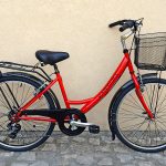 Bicicleta de Senhora Pantera vermelha com mudanças